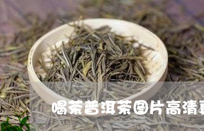 喝茶普洱茶图片高清真实/2023050752716