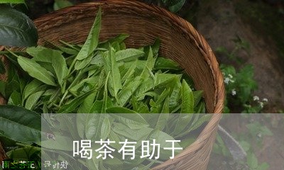 喝茶有助于/2023090210695