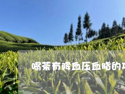 喝茶有降血压血脂的功效吗/2023051123705