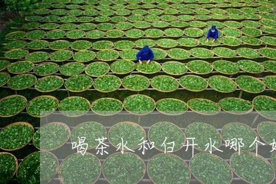 喝茶水和白开水哪个好/2023092175939