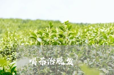 喝茶治脱发/2023041754677