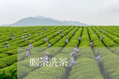 喝茶洗茶/2023110989592