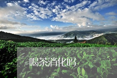 喝茶消化吗/2023090278260