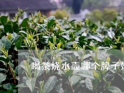 喝茶烧水壶哪个牌子好/2023092159293