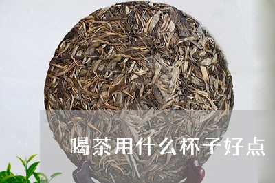 喝茶用什么杯子好点/2023042297161