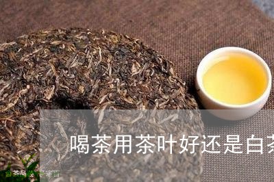 喝茶用茶叶好还是白茶好/2023101606048