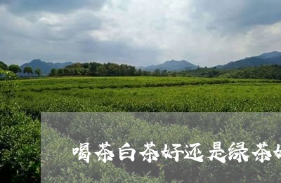 喝茶白茶好还是绿茶好/2023092883727