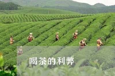 喝茶的利弊/2023090239483