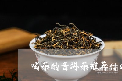 喝茶的普洱茶推荐什么牌子/2023121574624