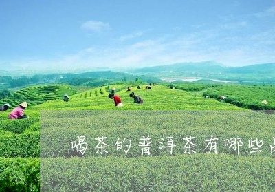 喝茶的普洱茶有哪些品种/2023102459570