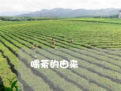 喝茶的由来/2023090249380