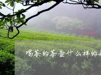 喝茶的茶壶什么样的好/2023092026027