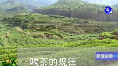 喝茶的规律/2023122009784