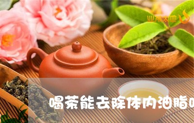 喝茶能去除体内油脂吗/2023060992142