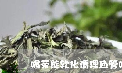 喝茶能软化清理血管吗/2023092191036