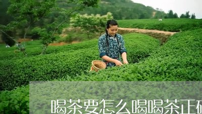 喝茶要怎么喝喝茶正确喝法/2023051143615