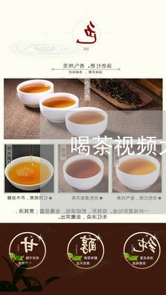 喝茶视频大全福建白茶/2023092865949