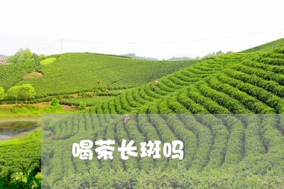 喝茶长斑吗/2023090257360