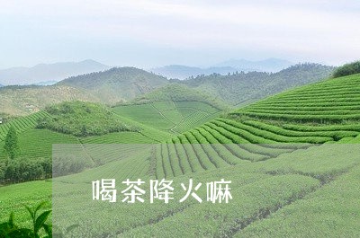 喝茶降火嘛/2023090227573