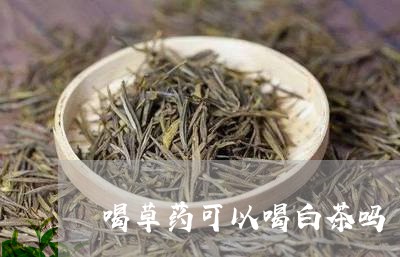 喝草药可以喝白茶吗/2023071623837