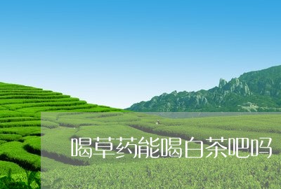 喝草药能喝白茶吧吗/2023081406039