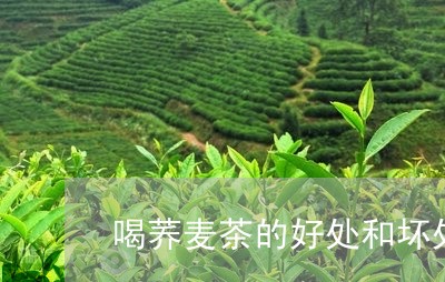 喝荞麦茶的好处和坏处/2023071517460