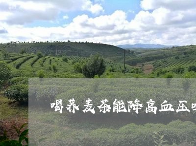 喝荞麦茶能降高血压吗/2023060883956