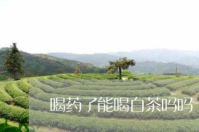 喝药了能喝白茶吗吗/2023081457504