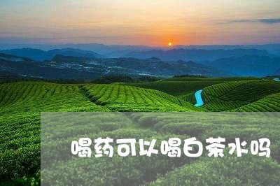 喝药可以喝白茶水吗/2023071607249