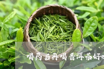 喝药后再喝普洱茶好吗吗/2023050597259