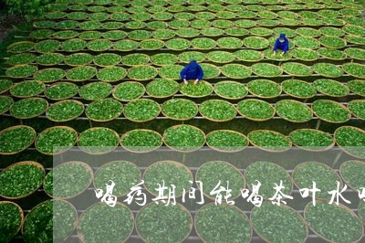 喝药期间能喝茶叶水吗/2023092343815