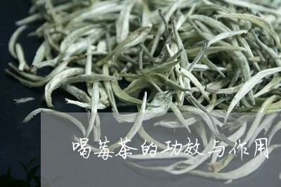 喝莓茶的功效与作用/2023042381936