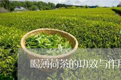 喝薄荷茶的功效与作用/2023071561604