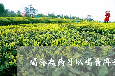 喝补益药可以喝普洱茶/2023061973715