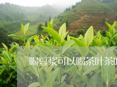 喝豆浆可以喝茶叶茶吗/2023061135260