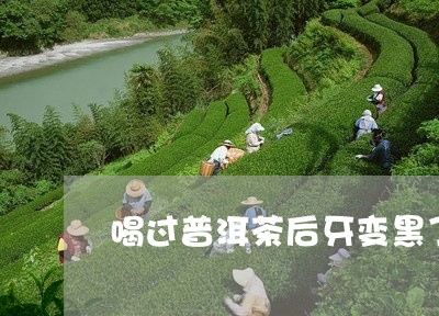 喝过普洱茶后牙变黑了/2023100632047