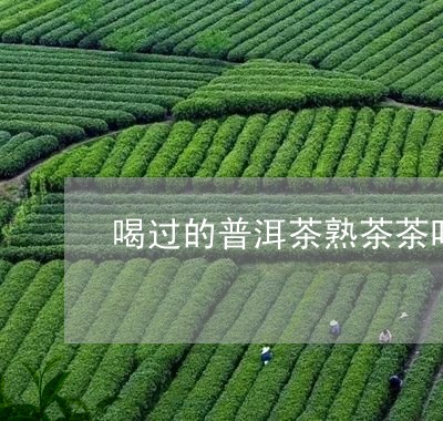 喝过的普洱茶熟茶茶叶/2023061443037