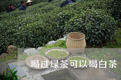 喝过绿茶可以喝白茶/2023062940382