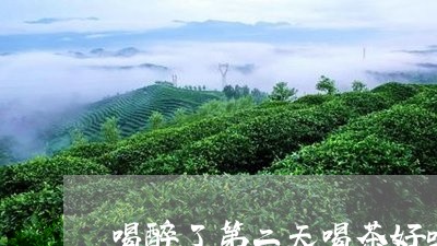 喝醉了第二天喝茶好吗/2023060947250