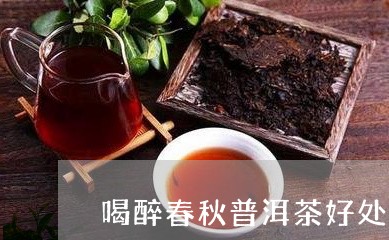 喝醉春秋普洱茶好处/2023070864826