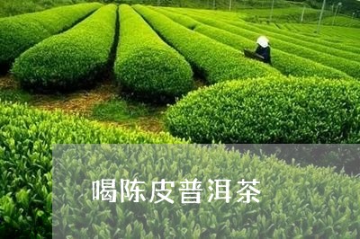 喝陈皮普洱茶/2023042866551