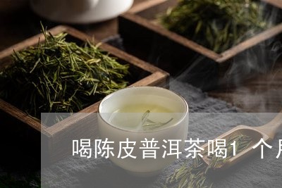 喝陈皮普洱茶喝1个月/2023061552715