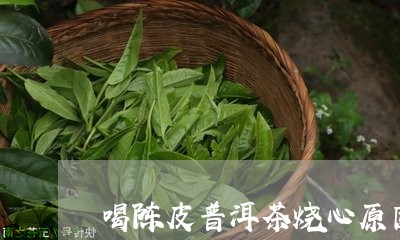 喝陈皮普洱茶烧心原因/2023100605927