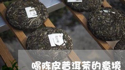 喝陈皮普洱茶的意境/2023120609503