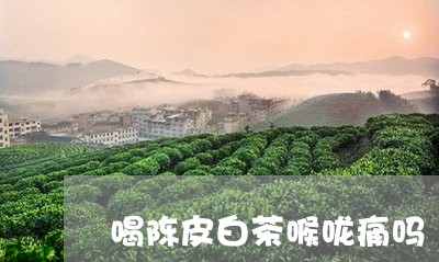 喝陈皮白茶喉咙痛吗/2023071649683