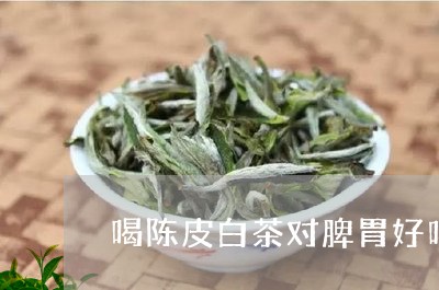 喝陈皮白茶对脾胃好吗/2023092871572