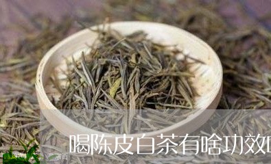 喝陈皮白茶有啥功效吗/2023092824148