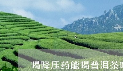 喝降压药能喝普洱茶吗/2023092681692