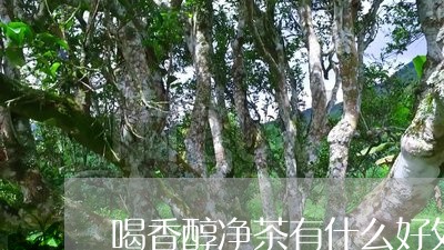 喝香醇净茶有什么好处/2023071474160