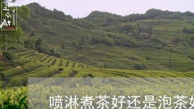 喷淋煮茶好还是泡茶好/2023071544624